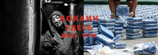 бошки Ладушкин