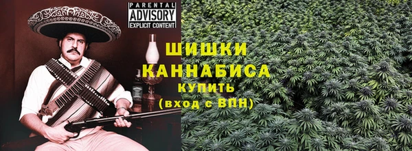 бошки Ладушкин