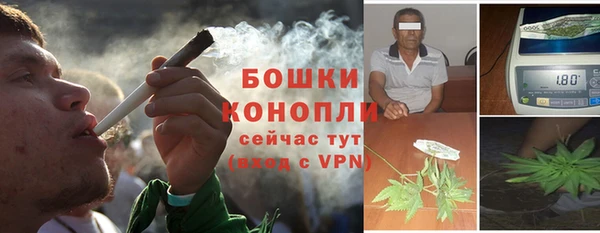 бошки Ладушкин
