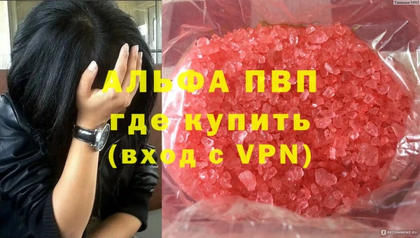 бошки Ладушкин