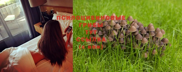 бошки Ладушкин