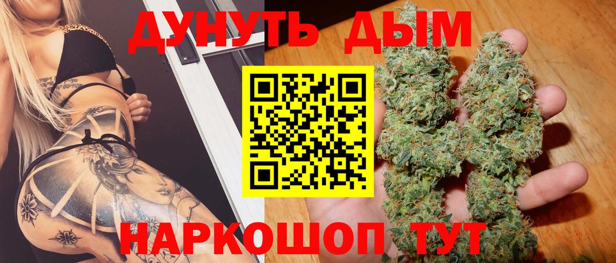 Конопля гибрид Ростов-на-Дону